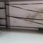 Raia Lapa 20170220_101300-