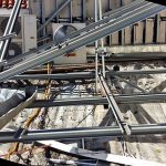 Raia Lapa IMG_3696-