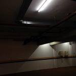 Raia Rib1 IMG_0944-