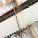 Raia Sert 20170222_095633-