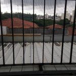 Raia Mandaqui IMG_4160