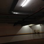 Raia Ribeirao II IMG_0944